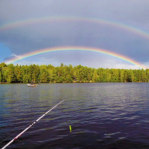 Lagerbild 9 från diabeteslägret